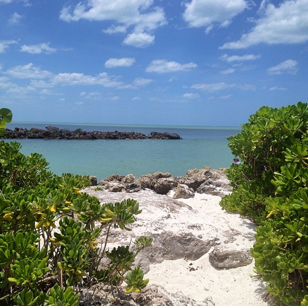 naples fl beach